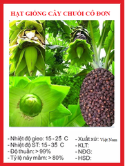 Hạt Giống Cây Chuối Cô Đơn ( Hạt Quả Chuối Cô Đơn)