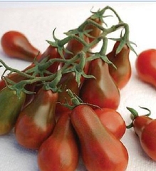 Hạt Giống Cà Chua Cherry Lê Đỏ