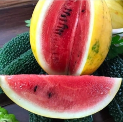 Hạt Giống Dưa Hấu Vỏ Vàng Ruột Đỏ
