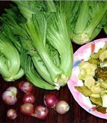 Hạt Giống Cải Bẹ Dưa Cao Sản