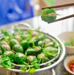 Hạt Giống Khổ Qua Rừng
