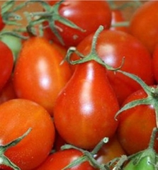 Hạt Giống Cà Chua Cherry Lê Đỏ