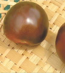 Hạt Giống Cà Chua Socola F1