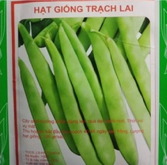 Hạt Giống Đậu Cove Tứ Quý Dạng Leo - Giống Quả Dẹp