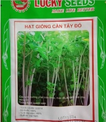 Hạt Giống Rau Cần Tây Đỏ - Gói 0.5gram