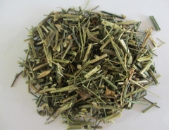 Hạt Giống Cây Xuyên Tâm Liên