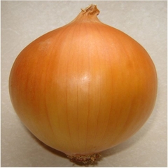 Hạt Giống Hành Củ Yellow Texas Grano