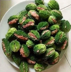 Hạt Giống Khổ Qua Rừng