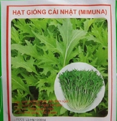 Hạt giống rau cải xanh Nhật Bản - Gói 10gram