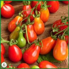 Hạt Giống Cà Chua Cherry Lê Đỏ