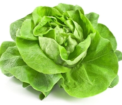 Hạt giống Rau Xà Lách Đăm Xanh Cao Sản - Gói 5gram