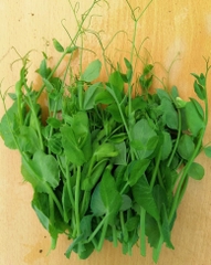 Hạt Giống Rau Đậu Hà Lan Siêu Ngọn (30gram)