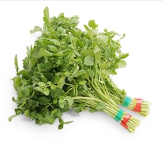 Hạt Giống Xà Lách Xoong Mỹ - Gói 0.2gram