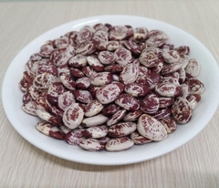 Hạt Giống Đậu Ngự