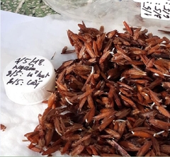 Hạt Giống Lá Giang  - Gói 10 hạt
