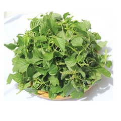 Hạt Giống Rau Dền Cơm - Gói 10gram