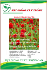 Hạt Giống Hoa Cúc Bách Nhật Đỏ