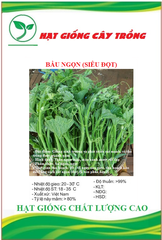 Hạt Giống Bầu Ngọn (Siêu đọt)