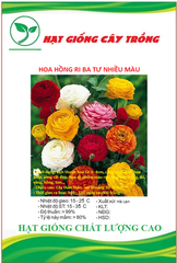 Hạt Giống Hoa Hồng Ri Ba Tư Nhiều Màu