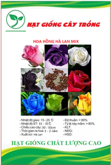 Hạt giống hoa hồng hà lan nhiều màu