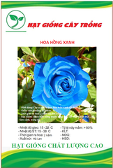 Hạt Giống Hoa Hồng Xanh Dương