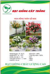 Hạt giống Hoa Hồng Thân Gỗ Tree Rose Mix Màu