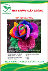 Hạt Giống Hoa Hồng Bảy Màu ( Hoa Hồng Cầu Vòng )