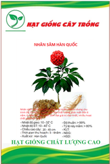 Hạt Giống Nhân Sâm Hàn Quốc