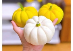 Hạt Giống Bi Ngô Tí Hon Mix Màu