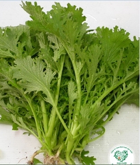 Hạt giống rau cải xanh Nhật Bản - Gói 10gram