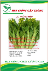 Hạt giống rau cải ngồng mập cao sảo ( cải ngọt ăn bông )