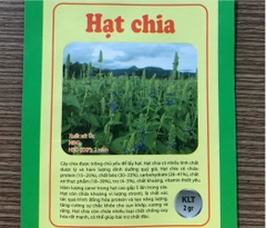 Hạt Giống Hạt Chia - Mỹ (Salvia hispanica)