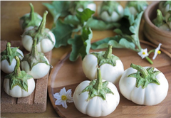 Hạt Giống Cà Bát Trắng Cao Sản
