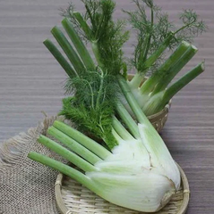 Hạt Giống Củ Thì Là ( Củ Hồi Mỹ  ) - Gói 50 hạt