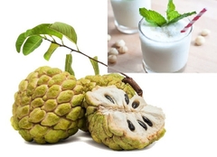 Hạt Giống Cây Na Dai ( Mãng Cầu Ta )