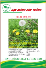 Hạt Giống Hoa Bồ Công Anh