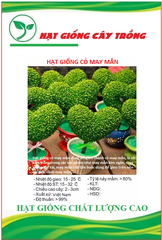 Hạt Giống Cỏ May Mắn - Gói 1gram