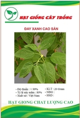 Hạt Giống Rau Đay Xanh