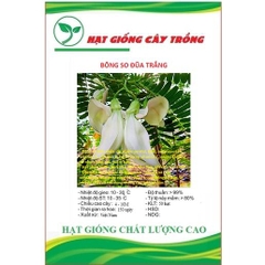 Hạt Giống Bông So Đũa Trắng