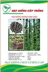 Hạt Giống Sương Sâm Lông