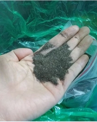 Hạt Giống Cây Nhân Trần
