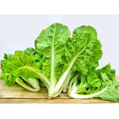 Hạt Giống Rau Cải Bẹ Dún