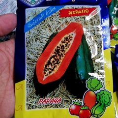 Hạt Giống Đu Đủ Siêu Dài Phuket Thái - Gói 5 gram ( 110 -120 hạt )