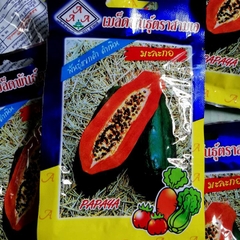 Hạt Giống Đu Đủ Siêu Dài Phuket Thái - Gói 5 gram ( 110 -120 hạt )