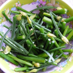 Hạt Giống Hẹ Ăn Bông - Gói 2gram