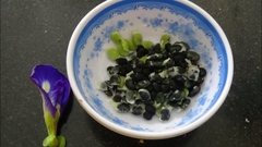 Hạt Giống Hoa Đậu Biếc Kép