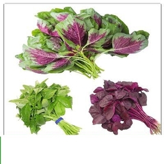 Hạt Giống Rau Dền 3 Màu - Gói 20gram