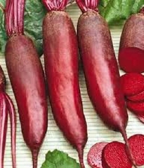 Hạt Giống Củ Cải Đỏ Dài F1