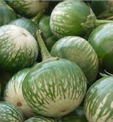 Hạt Giống Cà Dĩa Cao Sản - Cà Bát Da Ếch