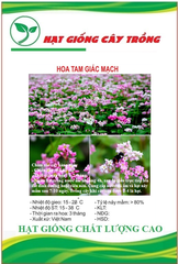 Hạt Giống Hoa Tam Giác Mạch